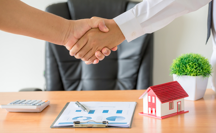 Real Estate Consultancy